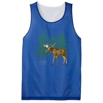 Maine State Moose Lovers Trees Vintagelook Souvenir Gift Mesh Reversible Basketball Jersey Tank