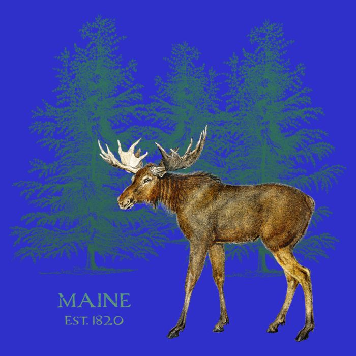 Maine State Moose Lovers Trees Vintagelook Souvenir Gift Baby Bodysuit