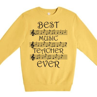 Musician Singer Music Teacher Vocal Coach Great Gift Premium Crewneck Sweatshirt