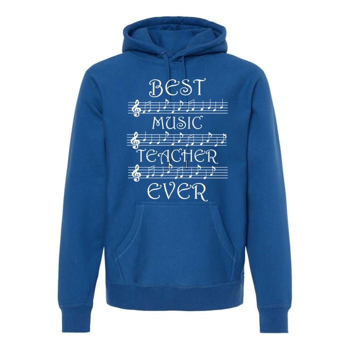 Musician Singer Music Teacher Vocal Coach Great Gift Premium Hoodie