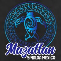 Mazatlan Sinaloa Mexico Souvenirs Baja California Turtles 11oz C Handle Ceramic Mug