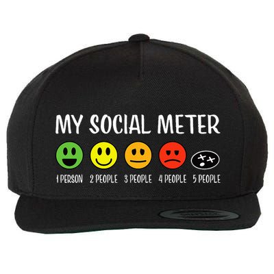 My Social Meter Funny Introvert Too Many People Sarcasm Wool Snapback Cap