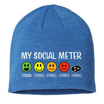 My Social Meter Funny Introvert Too Many People Sarcasm Sustainable Beanie