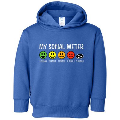 My Social Meter Funny Introvert Too Many People Sarcasm Toddler Hoodie