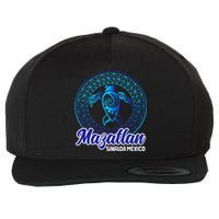 Mazatlan Sinaloa Mexico Souvenirs Baja California Turtles Wool Snapback Cap