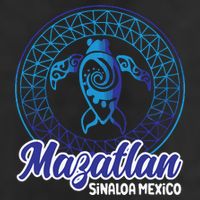 Mazatlan Sinaloa Mexico Souvenirs Baja California Turtles 11oz C Handle Ceramic Mug