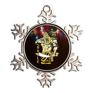 Mens Shriner Noble Pharaoh Mason PH Shriner AEAONMS Father's Day Metallic Star Ornament