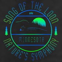 Minnesota Song Of The Loon Minnesota Loon 7 Panel Mesh Trucker Snapback Hat