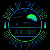 Minnesota Song Of The Loon Minnesota Loon Sustainable Bucket Hat