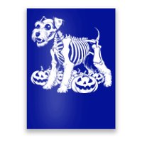 Miniature Schnauzer Skeleton Birthday Halloween Cute Gift Poster