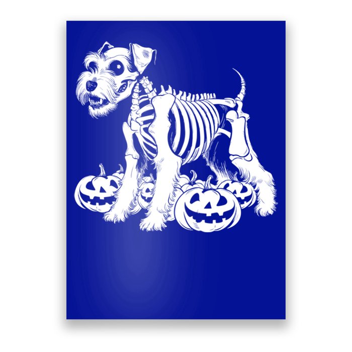 Miniature Schnauzer Skeleton Birthday Halloween Cute Gift Poster