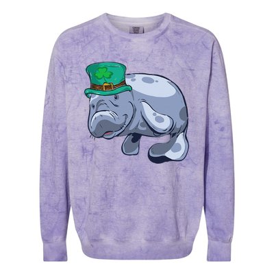 Manatee St. Saint Patrick's Day WoFunny Colorblast Crewneck Sweatshirt