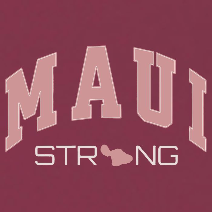 Maui Strong Support Lahaina Hawaii 16oz Travel Tumbler