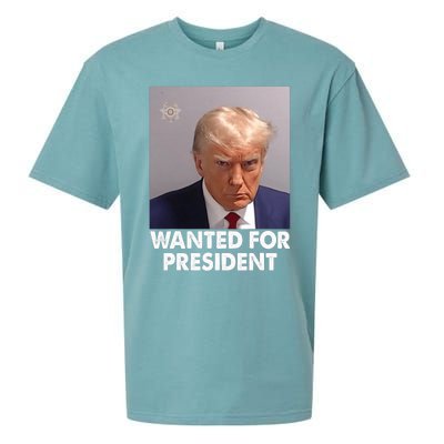 Mug Shot Trump Wanted For President Sueded Cloud Jersey T-Shirt