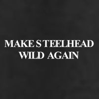 Make Steelhead Wild Again Adult Drive Performance Visor