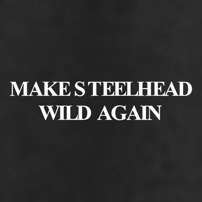 Make Steelhead Wild Again Adult Drive Performance Visor