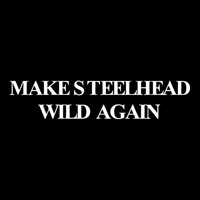 Make Steelhead Wild Again Drawstring Bag