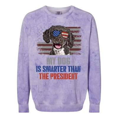 My Spanish Water Dog Smarter Than President Gift Colorblast Crewneck Sweatshirt