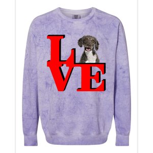 My Spanish Water Spaniel Love Park Gift Colorblast Crewneck Sweatshirt