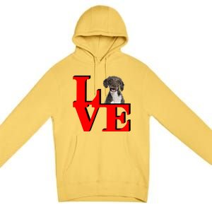 My Spanish Water Spaniel Love Park Gift Premium Pullover Hoodie