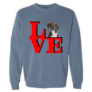 My Spanish Water Spaniel Love Park Gift Garment-Dyed Sweatshirt