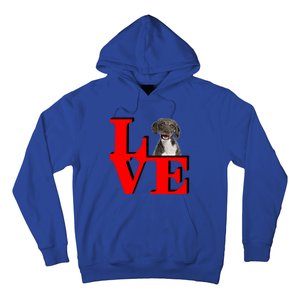 My Spanish Water Spaniel Love Park Gift Hoodie