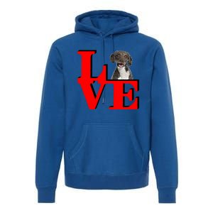 My Spanish Water Spaniel Love Park Gift Premium Hoodie