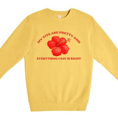 My Tits Are Pretty And Everything Premium Crewneck Sweatshirt