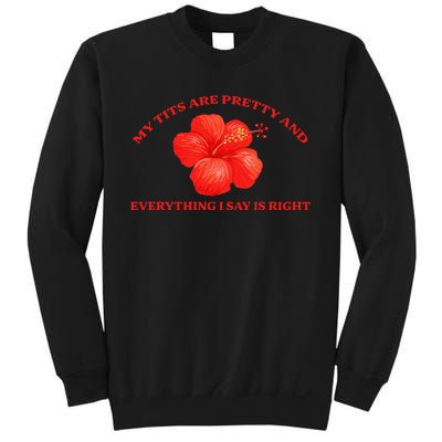 My Tits Are Pretty And Everything Sweatshirt