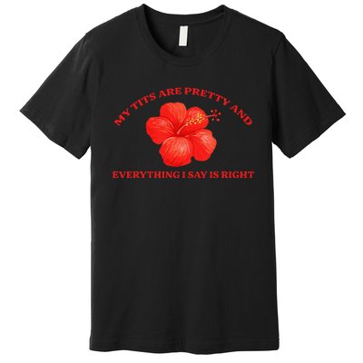 My Tits Are Pretty And Everything Premium T-Shirt