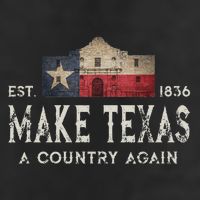 Make Texas A Country Again Secession Alamo Secede 12oz Stainless Steel Coffee Mug