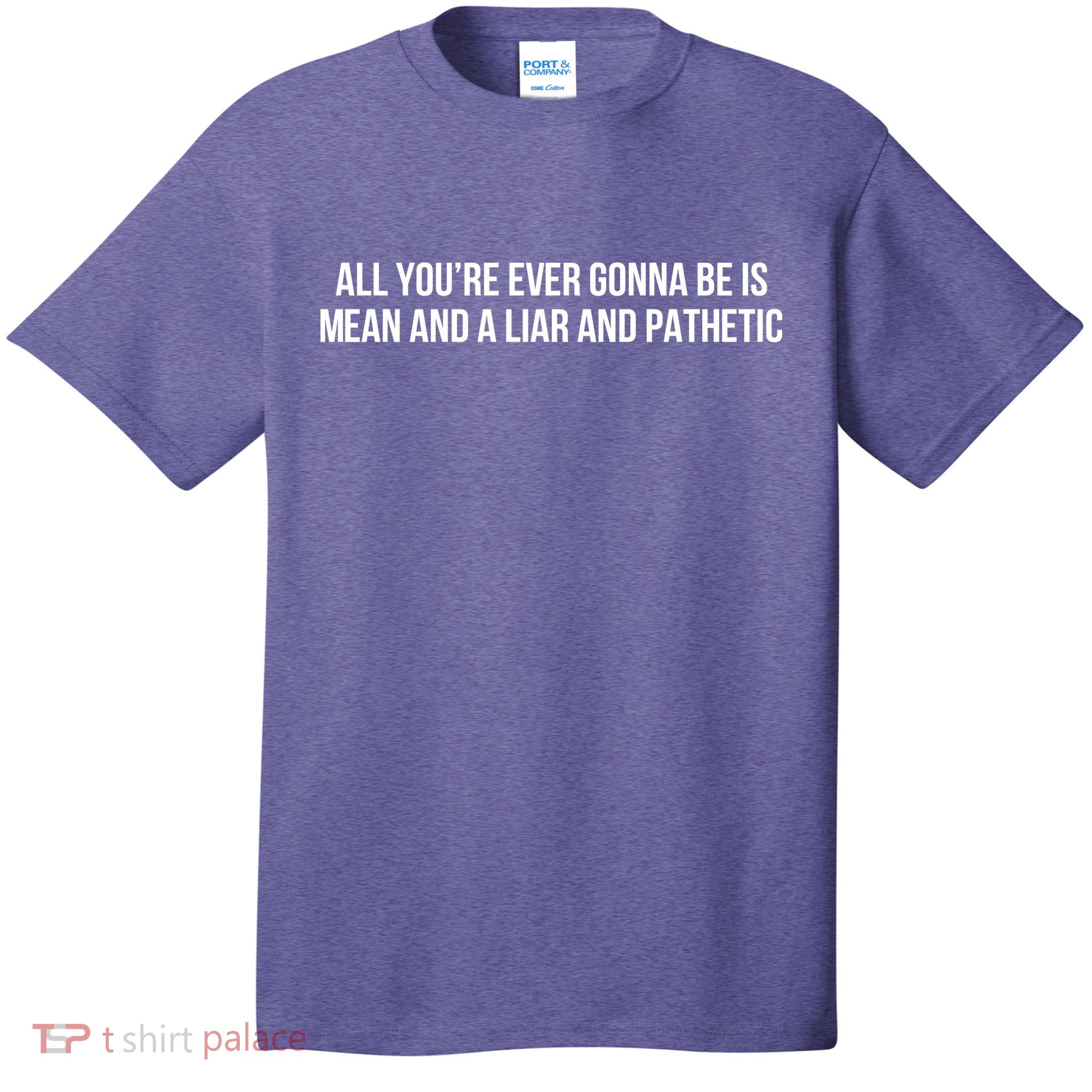 Mean Tee All You’re Ever Gonna Be Is Mean And A Liar And Pathetic T-Shirt