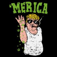 Merica Trump Bae Smoking Weed Cannabis Funny 420 Stoner Gift 16 in Basic Backpack