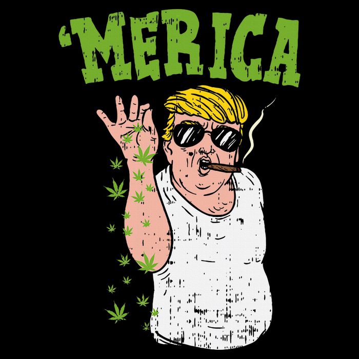 Merica Trump Bae Smoking Weed Cannabis Funny 420 Stoner Gift 16 in Basic Backpack