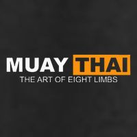 Muay Thai Boxing Kickboxing Mma Adult Drive Performance Visor