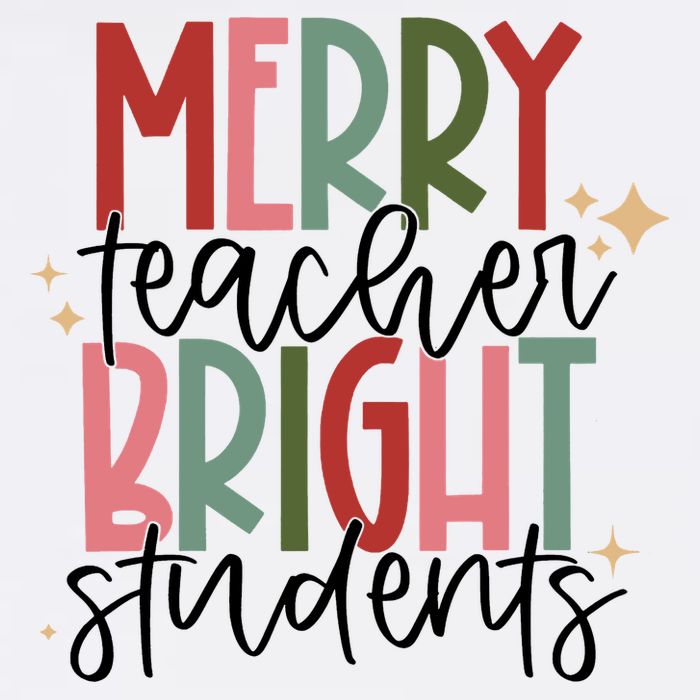 Merry Teacher Bright Students Christmas Premium T-Shirt