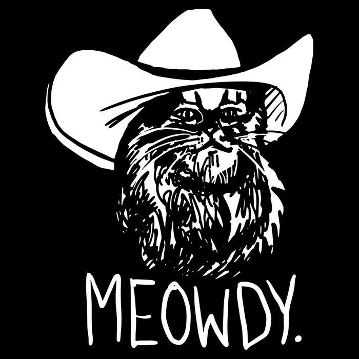 Meowdy Texas Cat Meme Magnet