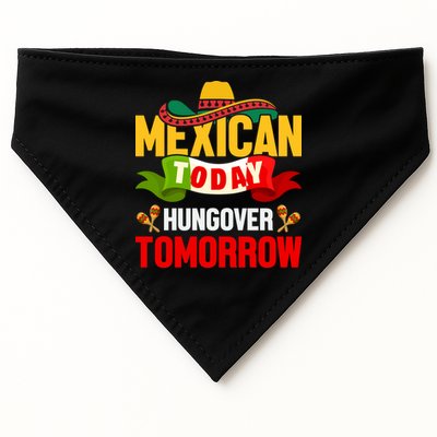 Mexican Today Cinco De Mayo T USA-Made Doggie Bandana