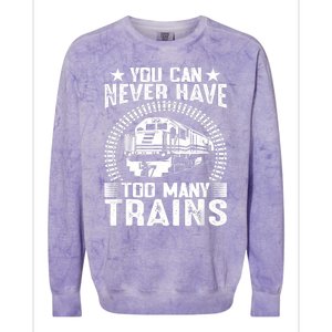 Model Train Collector For Railroad Train Collecting Lover Colorblast Crewneck Sweatshirt