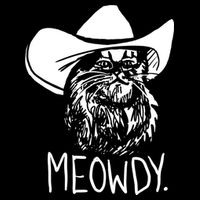 Meowdy Texas Cat Meme TShirt Cooling Performance Crew T-Shirt