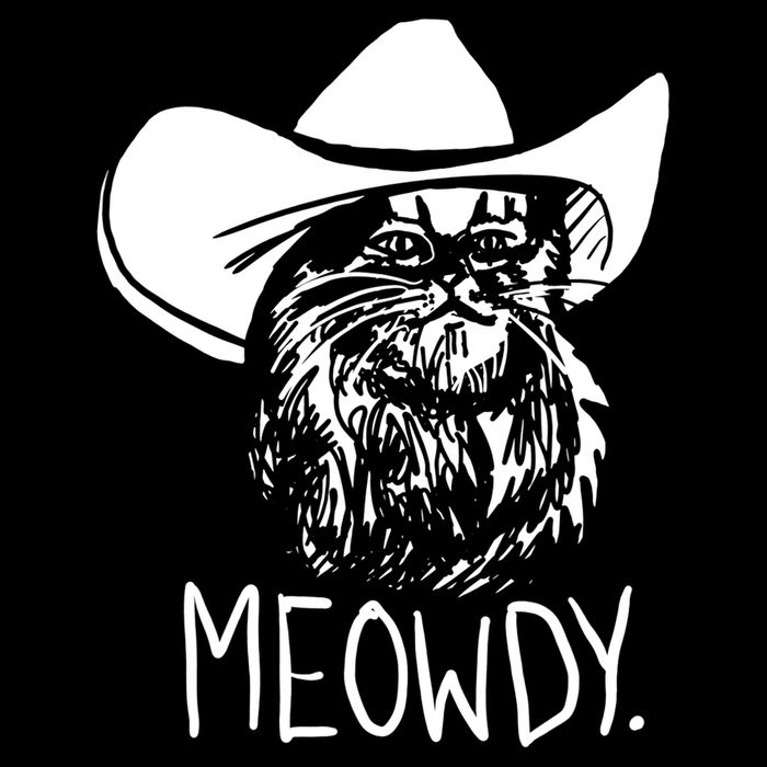 Meowdy Texas Cat Meme TShirt Cooling Performance Crew T-Shirt