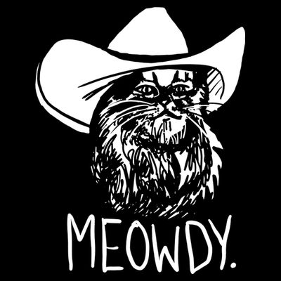 Meowdy Texas Cat Meme TShirt T-Shirt