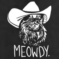 Meowdy Texas Cat Meme TShirt 15oz Campfire Ceramic Mug
