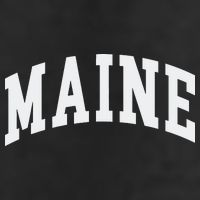 Maine Throwback Design Classic Adult Drive Performance Visor