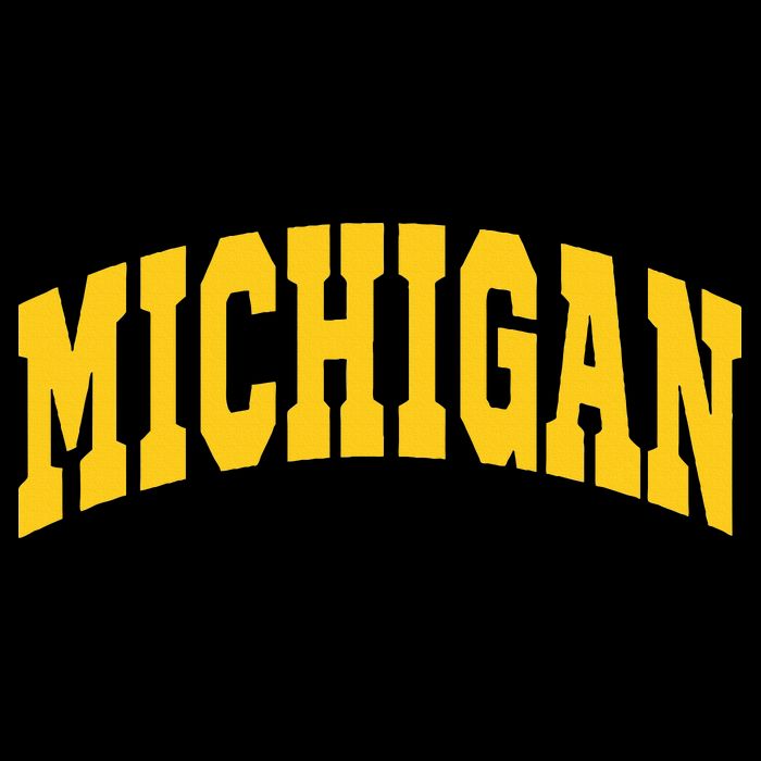 Michigan Throwback Design Classic Magnet