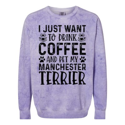 Manchester Terrier Dog Owner Coffee Lover Funny Dog Mom Colorblast Crewneck Sweatshirt