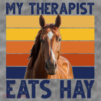 My Therapist Eats Hay Funny Horse Lover Premium T-Shirt
