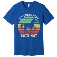 My Therapist Eats Hay Funny Horseback Riding Retro Gift Premium T-Shirt