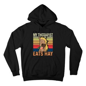 My Therapist Eats Hay Horse Lover Equestrian Horse Rider Hoodie