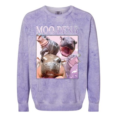 Moodeng The Famous Baby Pigmy Hippo Moodeng Colorblast Crewneck Sweatshirt